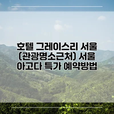 호텔 그레이스리 서울 (관광명소근처) 서울 아고다 특가 예약방법