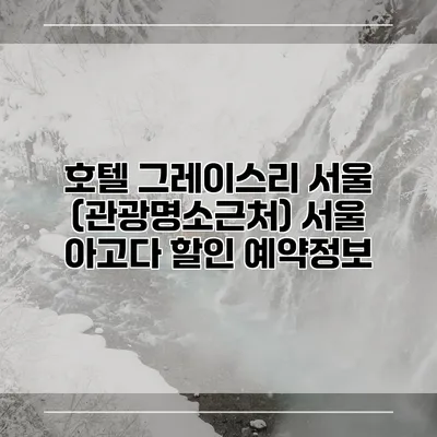 호텔 그레이스리 서울 (관광명소근처) 서울 아고다 할인 예약정보