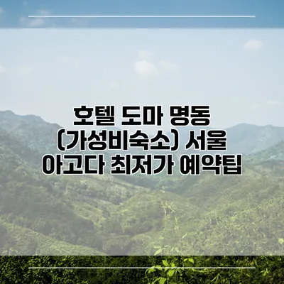 호텔 도마 명동 (가성비숙소) 서울 아고다 최저가 예약팁