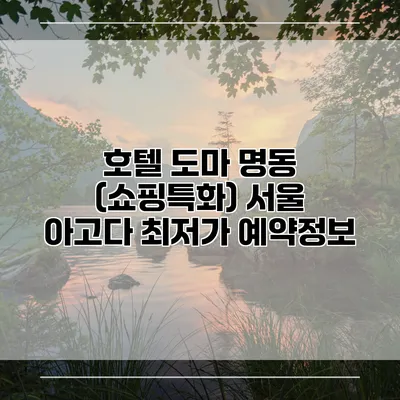 호텔 도마 명동 (쇼핑특화) 서울 아고다 최저가 예약정보