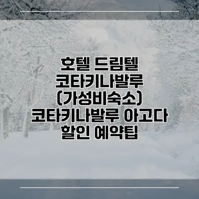 호텔 드림텔 코타키나발루 (가성비숙소) 코타키나발루 아고다 할인 예약팁