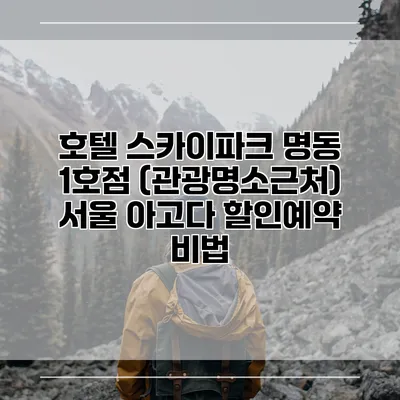 호텔 스카이파크 명동 1호점 (관광명소근처) 서울 아고다 할인예약 비법