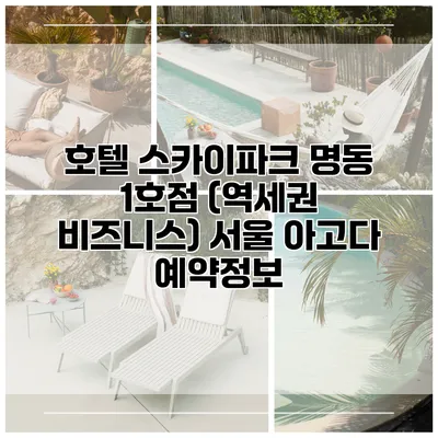 호텔 스카이파크 명동 1호점 (역세권 비즈니스) 서울 아고다 예약정보