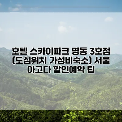호텔 스카이파크 명동 3호점 (도심위치 가성비숙소) 서울 아고다 할인예약 팁