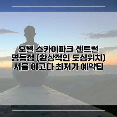 호텔 스카이파크 센트럴 명동점 (환상적인 도심위치) 서울 아고다 최저가 예약팁