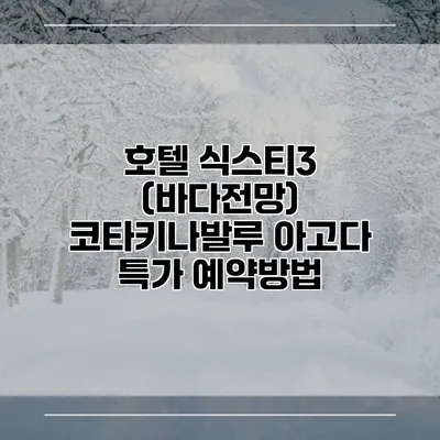 호텔 식스티3 (바다전망) 코타키나발루 아고다 특가 예약방법