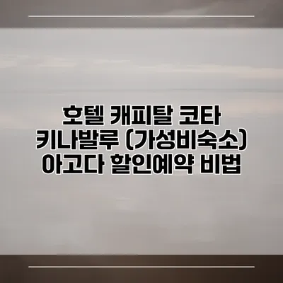 호텔 캐피탈 코타 키나발루 (가성비숙소) 아고다 할인예약 비법