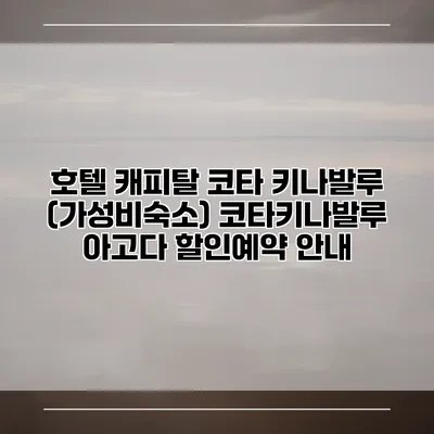 호텔 캐피탈 코타 키나발루 (가성비숙소) 코타키나발루 아고다 할인예약 안내