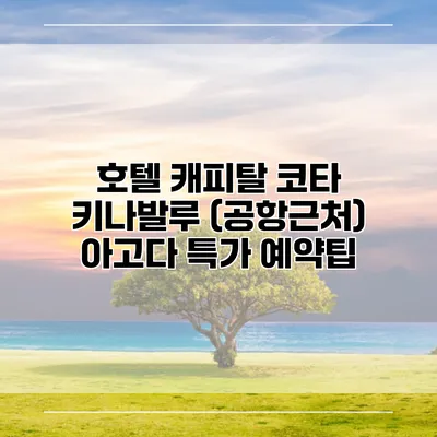 호텔 캐피탈 코타 키나발루 (공항근처) 아고다 특가 예약팁