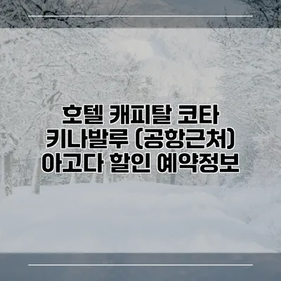 호텔 캐피탈 코타 키나발루 (공항근처) 아고다 할인 예약정보