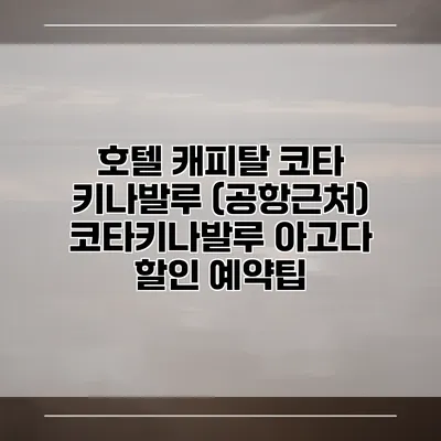 호텔 캐피탈 코타 키나발루 (공항근처) 코타키나발루 아고다 할인 예약팁