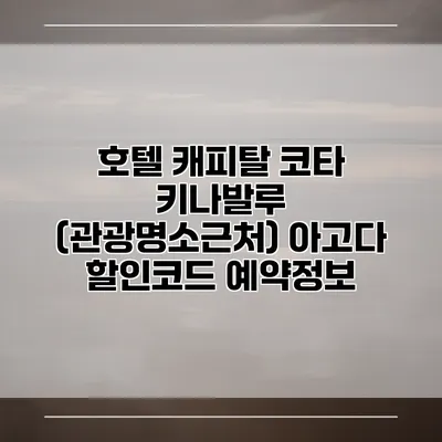 호텔 캐피탈 코타 키나발루 (관광명소근처) 아고다 할인코드 예약정보