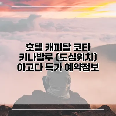 호텔 캐피탈 코타 키나발루 (도심위치) 아고다 특가 예약정보