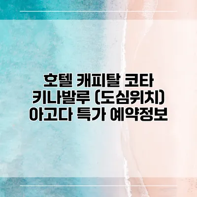 호텔 캐피탈 코타 키나발루 (도심위치) 아고다 특가 예약정보
