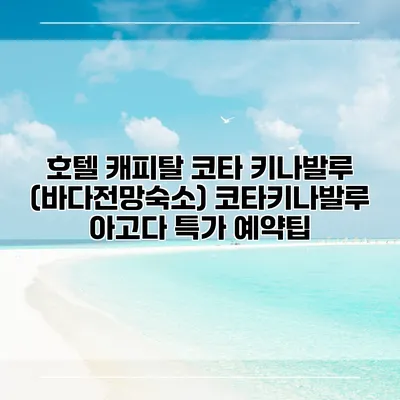 호텔 캐피탈 코타 키나발루 (바다전망숙소) 코타키나발루 아고다 특가 예약팁