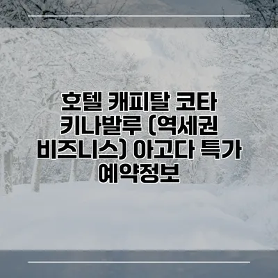 호텔 캐피탈 코타 키나발루 (역세권 비즈니스) 아고다 특가 예약정보