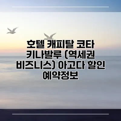 호텔 캐피탈 코타 키나발루 (역세권 비즈니스) 아고다 할인 예약정보