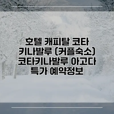 호텔 캐피탈 코타 키나발루 (커플숙소) 코타키나발루 아고다 특가 예약정보