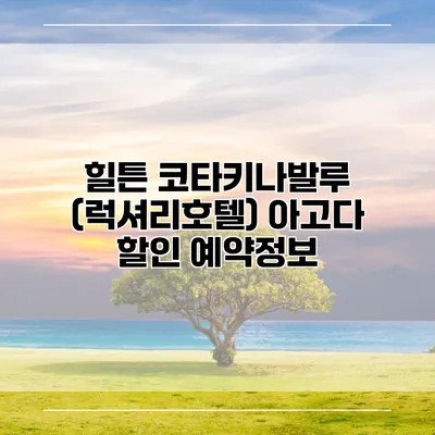 힐튼 코타키나발루 (럭셔리호텔) 아고다 할인 예약정보