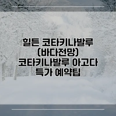 힐튼 코타키나발루 (바다전망) 코타키나발루 아고다 특가 예약팁
